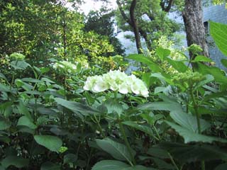 �������z�Ԉ�ԂɊJ�Ԃ��܂����B