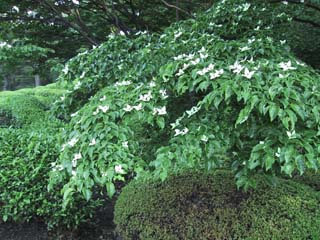 ���}�{�E�V