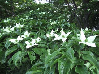 ���}�{�E�V