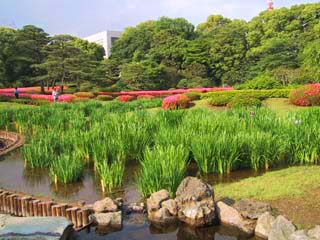 5/21�̂���߉�