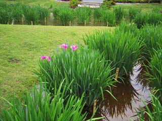 5/23�̂���߉�