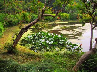 5/23�@�r�̉����B�e