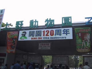 ��쓮����120���N�L�O�ł��B(*^_^*)