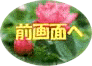Jnʂ